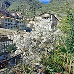 Paradise * Dolceacqua
