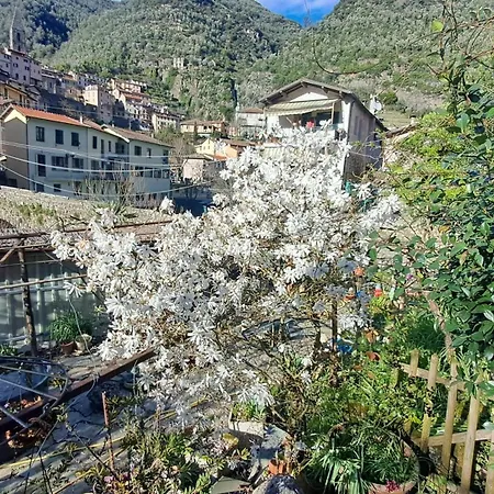Paradise * Dolceacqua