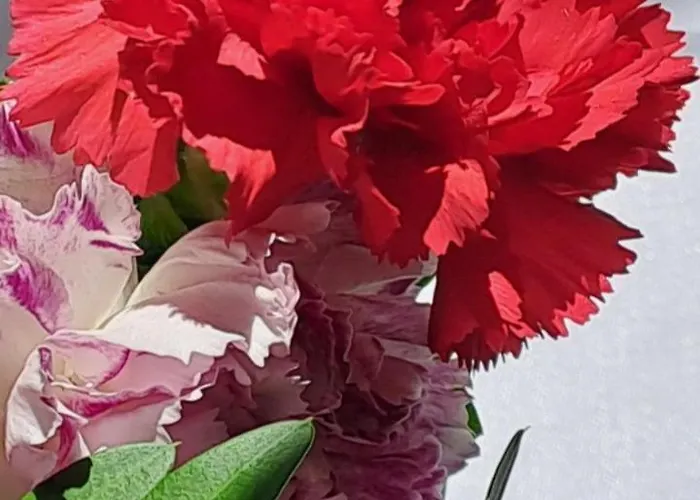 Paradise * Dolceacqua